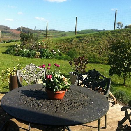East Dunster Deer Farm B&B Tiverton  Kültér fotó